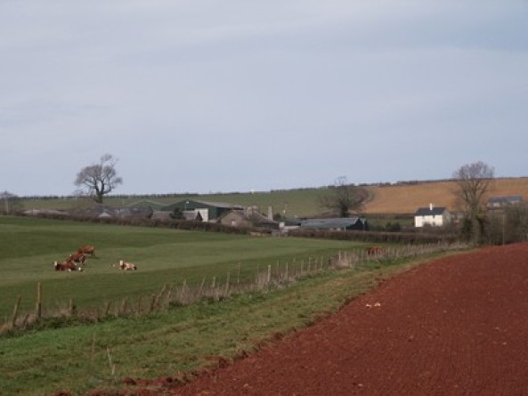 Stanter .. a rural view of Stantor Barton Farm and its surrounding fields
